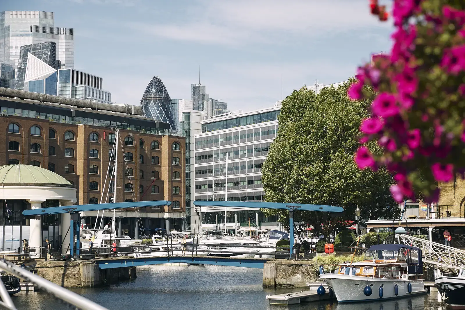 london-dock_local-area_1